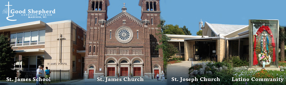 sacraments good shepherd catholic parish