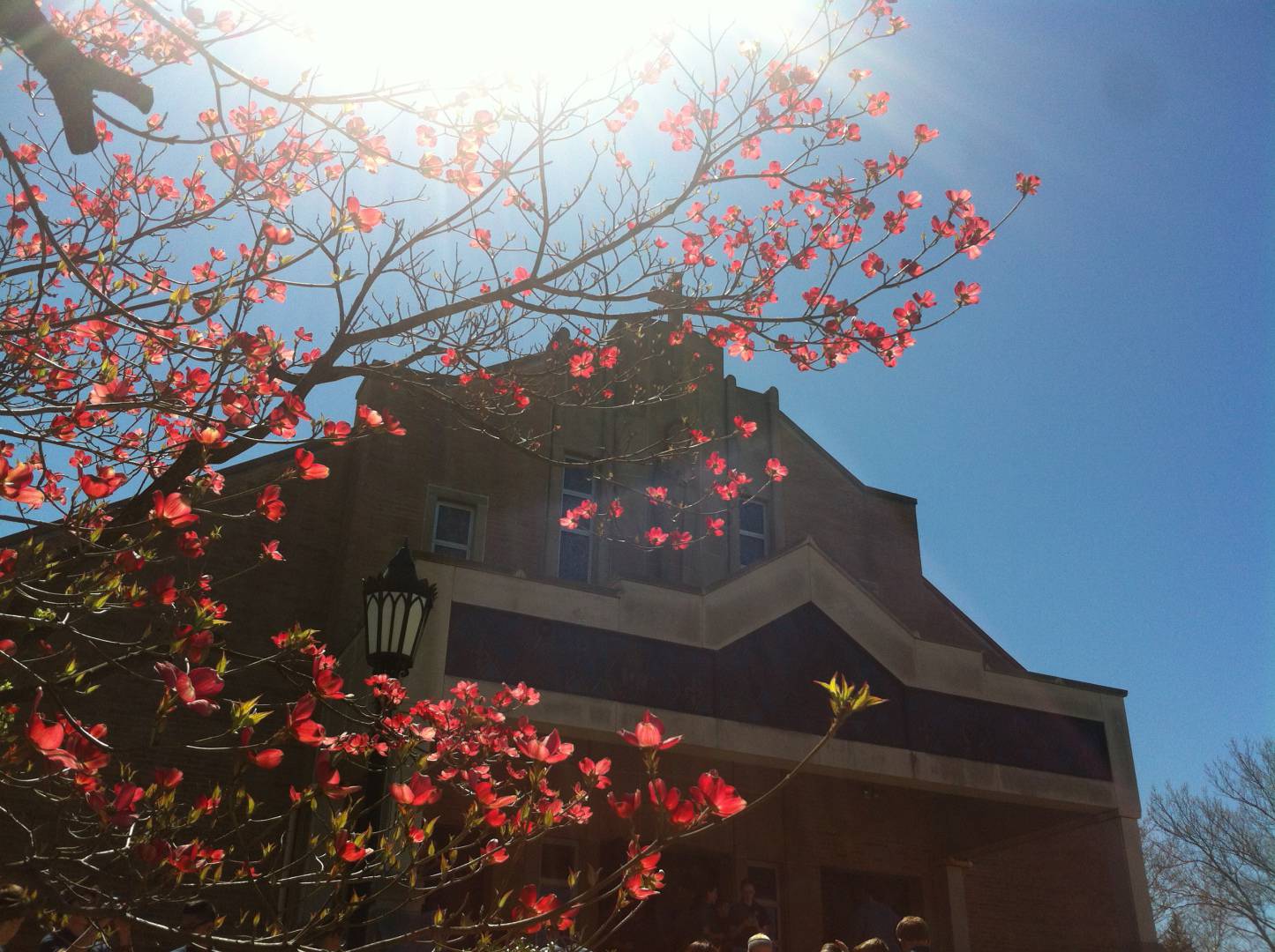 Contact Us Notre Dame of Bethlehem Church