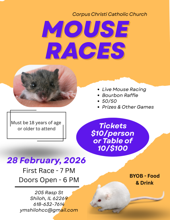mouse races