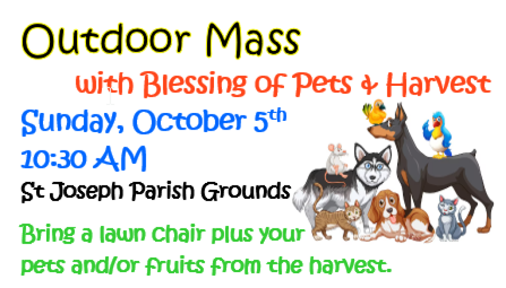 Blessing of pets
