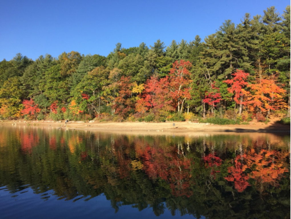 Waters of Healing