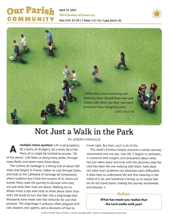 Bulletins St. Rose of Lima Catholic Parish