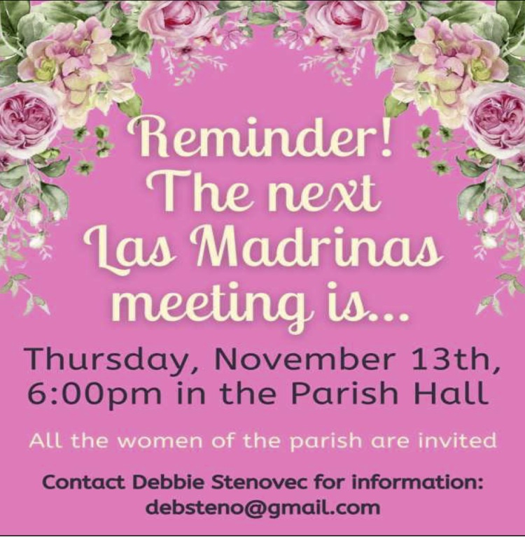 Las Madrinas Meeting 11/13