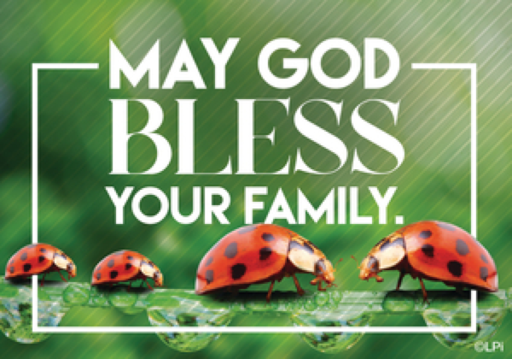 May God Bless Your Family
